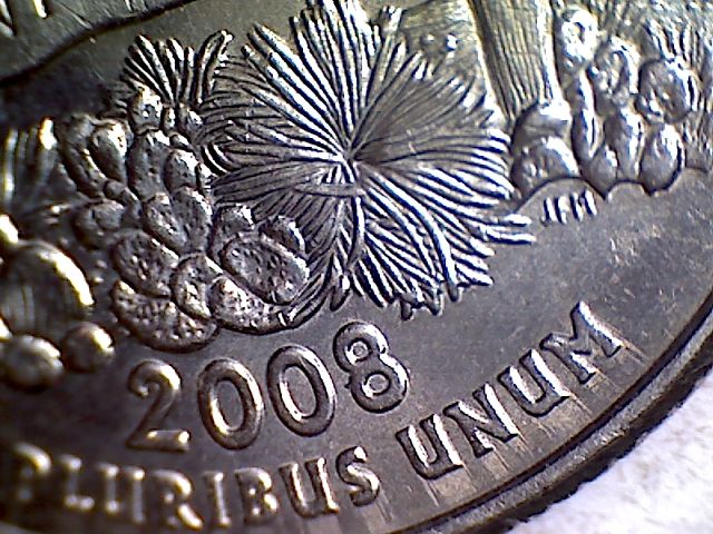 Arizona-Quarter,-Maybe-Traildies?