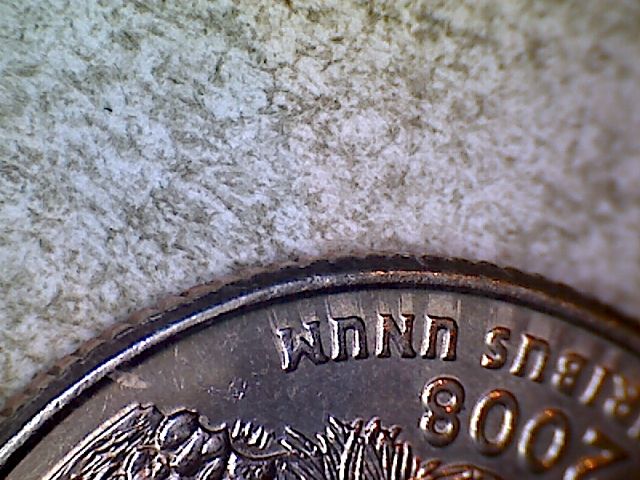 Arizona-Quarter,-Maybe-Traildies?