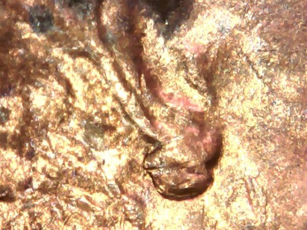 1974-Lincoln-With-Diechip-On-Ear?