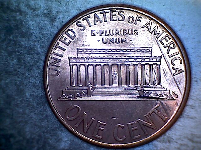 1998-Feeder-Finger-Damage?