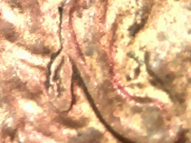 1998-Lincoln-With-Chip-On-Ear?