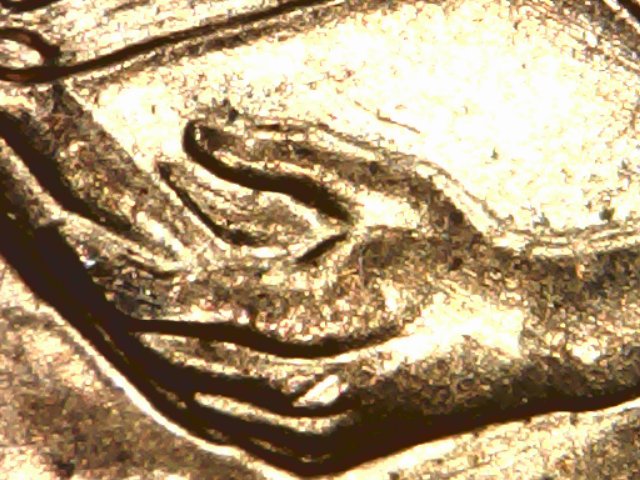 Need-Help-To-Identify-My-2009-DDR's