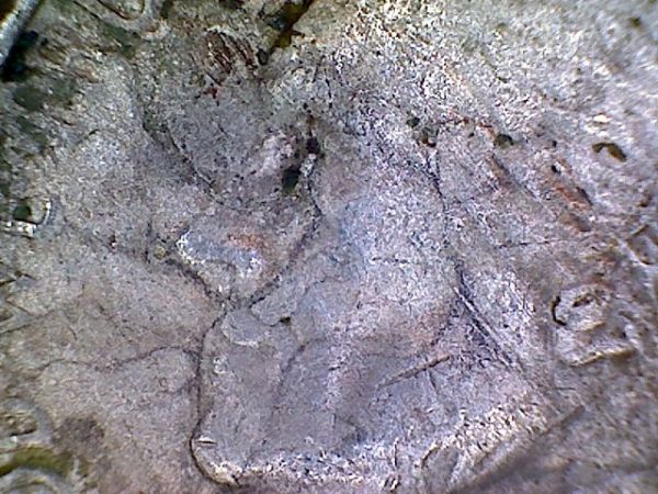 1999-D-Really-Ugly-Nickel