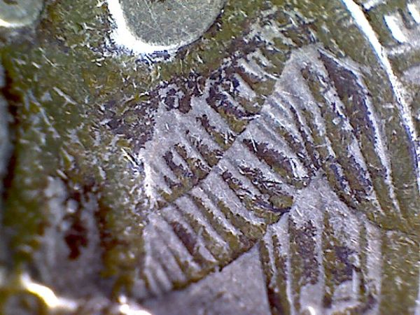 1981-D-Quarter...loosing-Its-Color