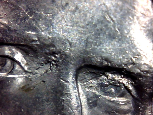2008-Nickel-With-Eye-Problems