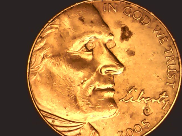 2005-Buffalo-Nickel-With-Very-Interesting-Eyes