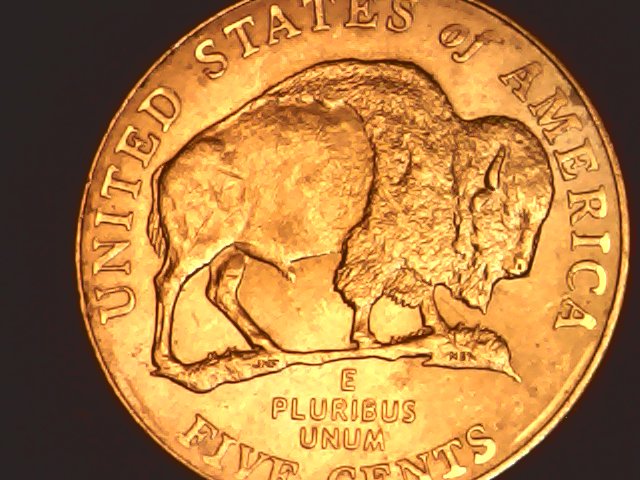 2005-Buffalo-Nickel-With-Very-Interesting-Eyes