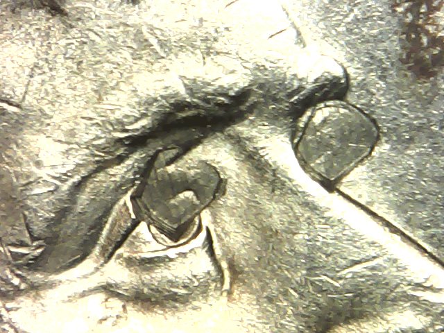 2005-Buffalo-Nickel-With-Very-Interesting-Eyes
