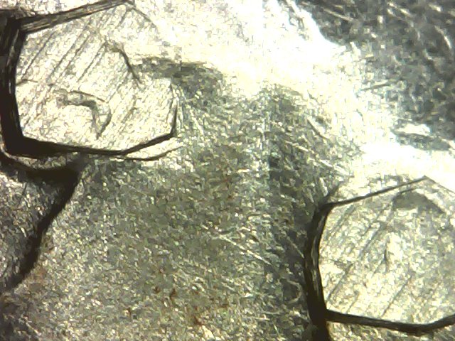 2005-Buffalo-Nickel-With-Very-Interesting-Eyes