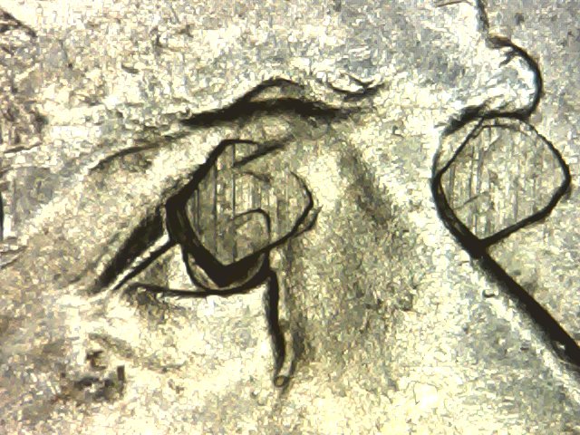 2005-Buffalo-Nickel-With-Very-Interesting-Eyes