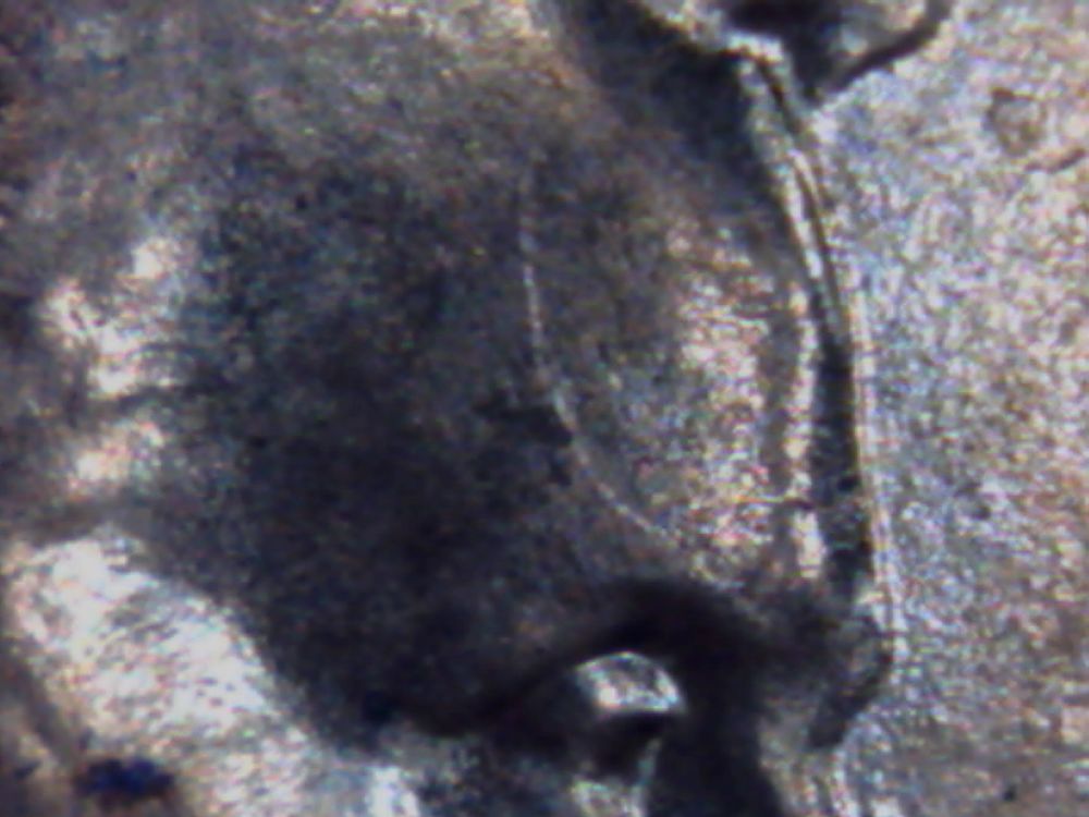 2015-Ddo...need-Help-To-Identify....please