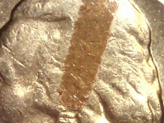 1959-D-Nickel-With-Something-Struck-Onto....