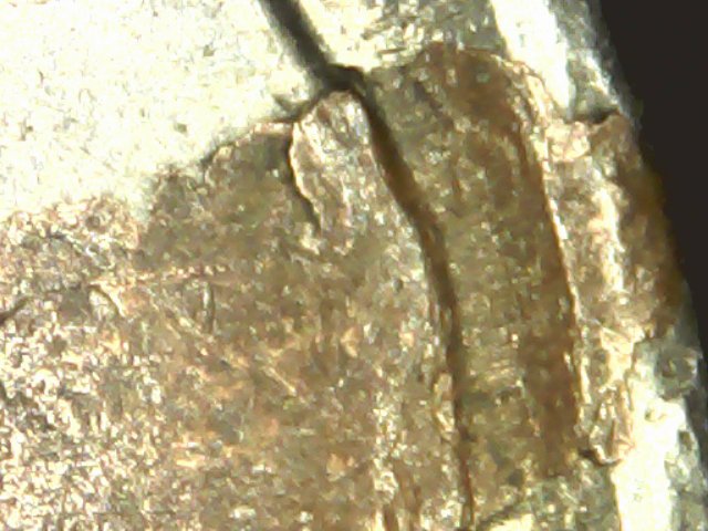 1959-D-Nickel-With-Something-Struck-Onto....