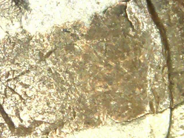 1959-D-Nickel-With-Something-Struck-Onto....