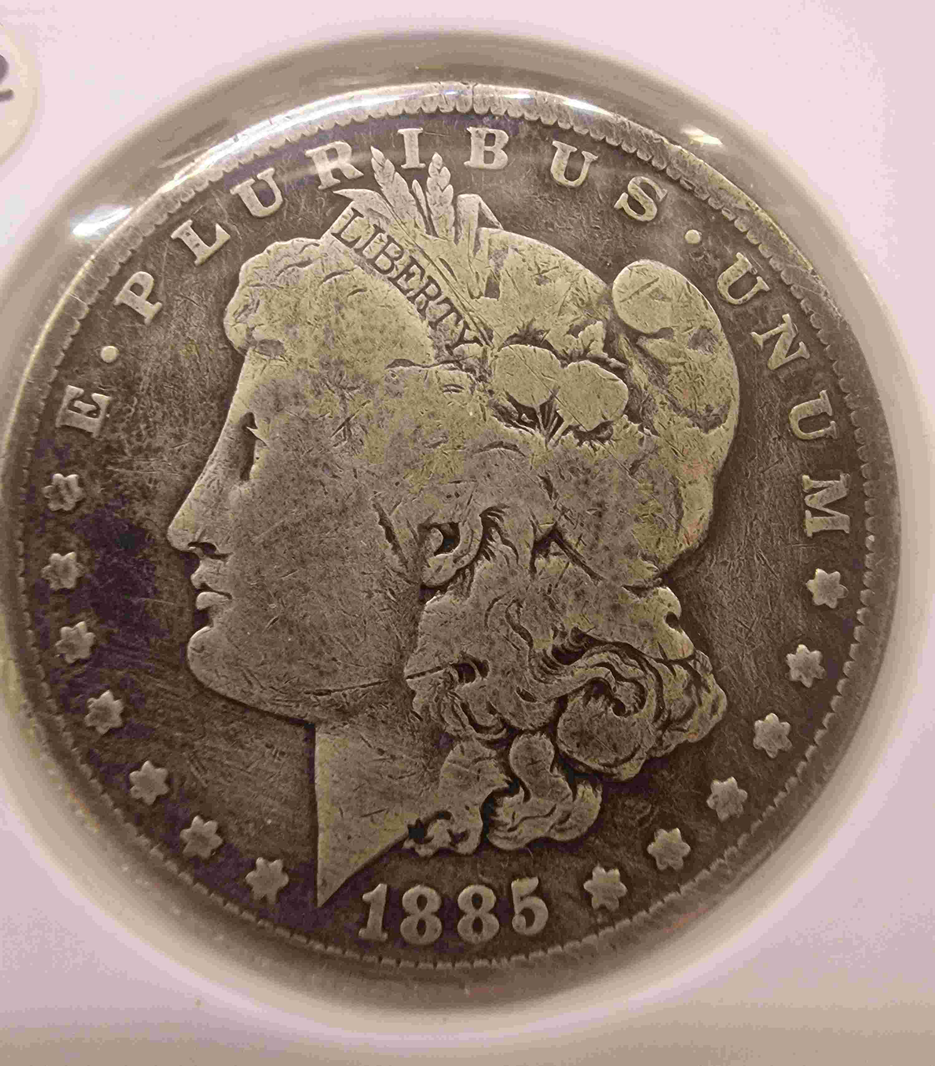 So-I-Accidentaly-Bought-Some-Morgans.