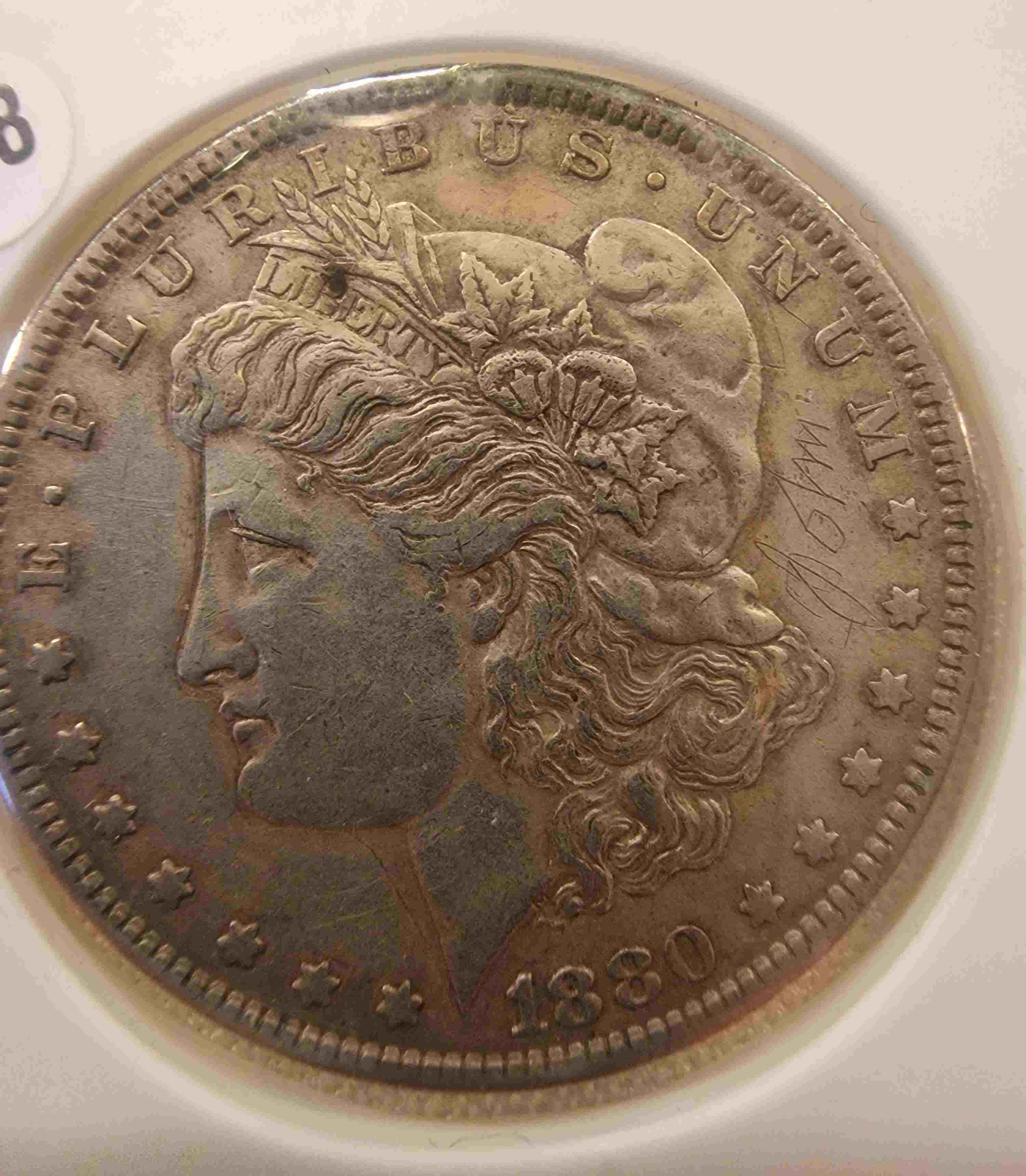 So-I-Accidentaly-Bought-Some-Morgans.