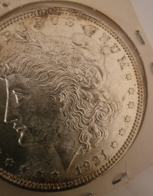 1921-Morgan-Dollar-For-Opinion