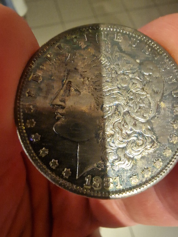 1881-S-Morgan-Dollar-S-For-Grading
