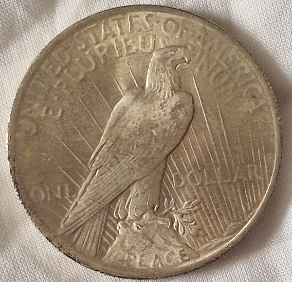 1923-Peace-Dollar-F�r-You-Opinion