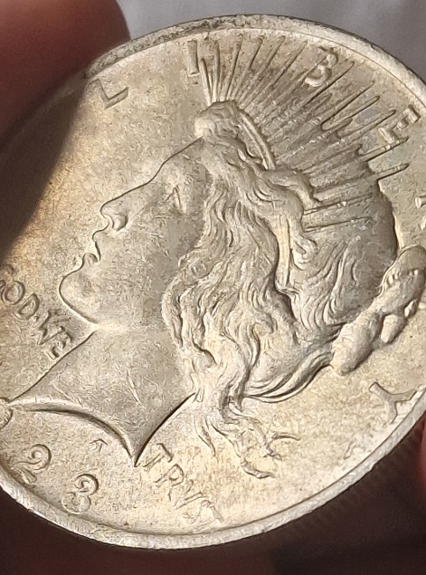1923-Peace-Dollar-F�r-You-Opinion