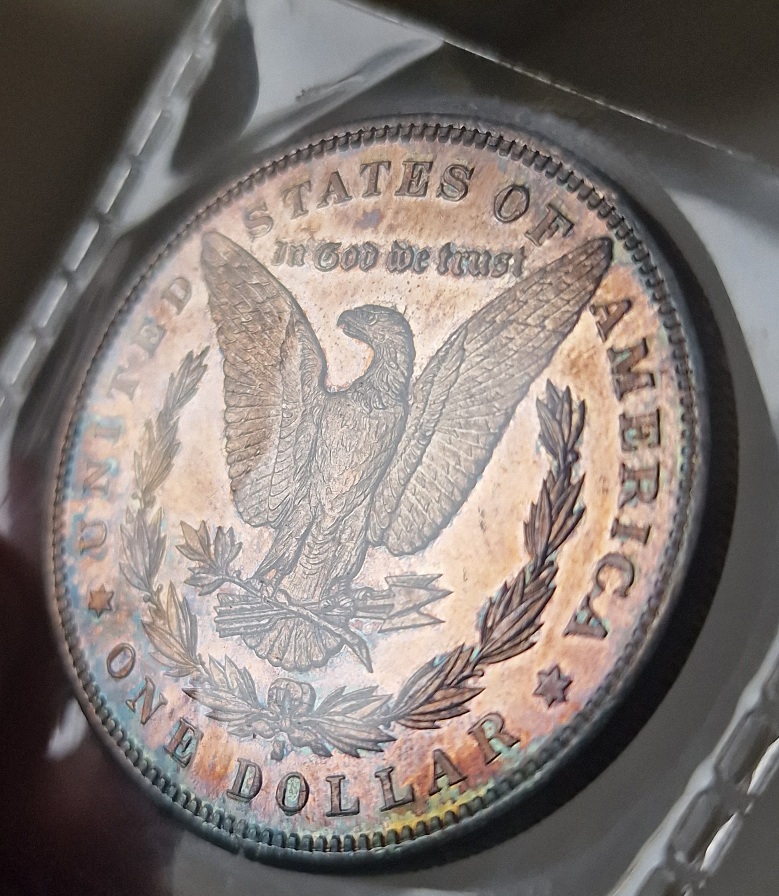 1881-S-Morgan-Dollar-S-For-Grading