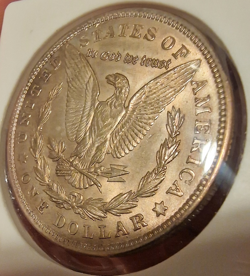 1921-P-Morgan-Dollar-Will-It-Make-MS?-Also-VAMs-Wide-Reeding