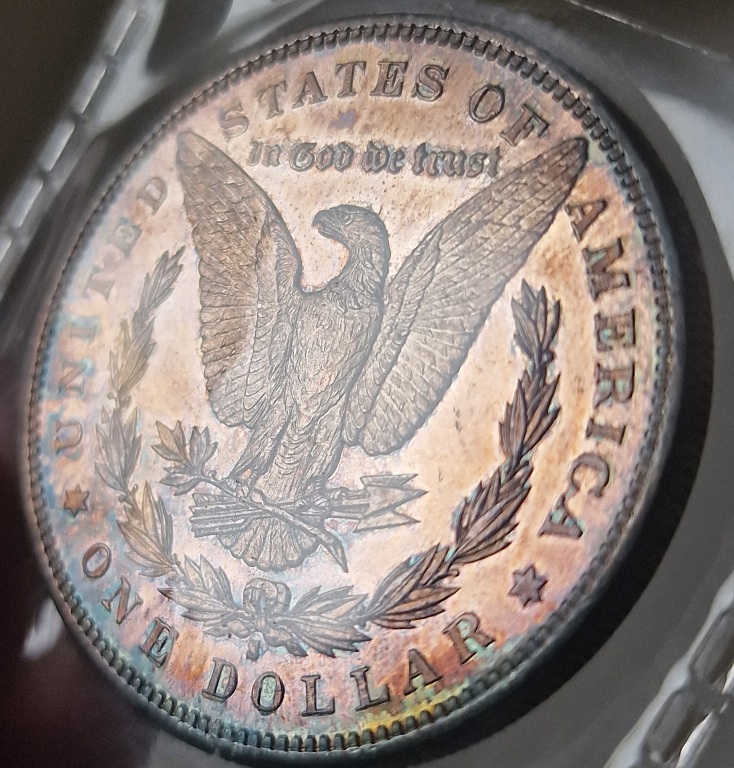 So-I-Accidentaly-Bought-Some-Morgans.