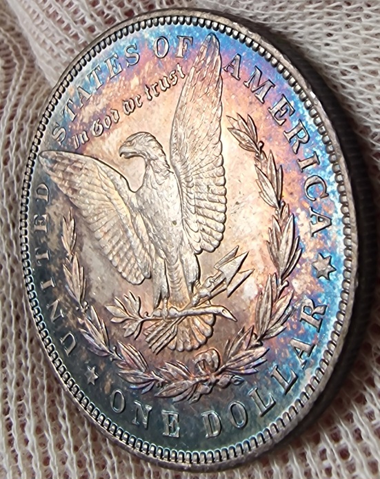 Continuing-List-To-Show-Everyones-Latest-Acquisitions