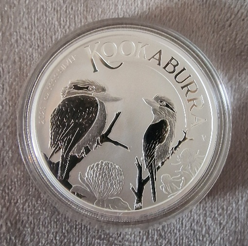Continuing-List-To-Show-Everyones-Latest-Acquisitions