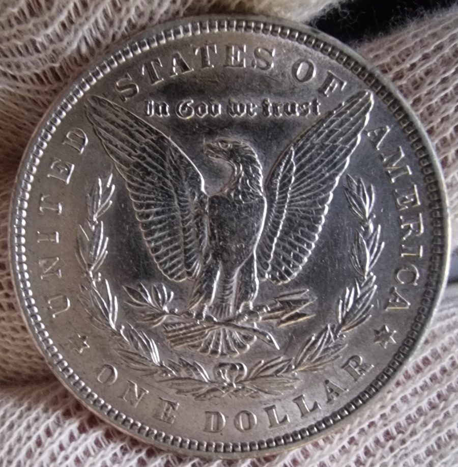1886-P-Morgan-Dollar-Another-One-For-Grading
