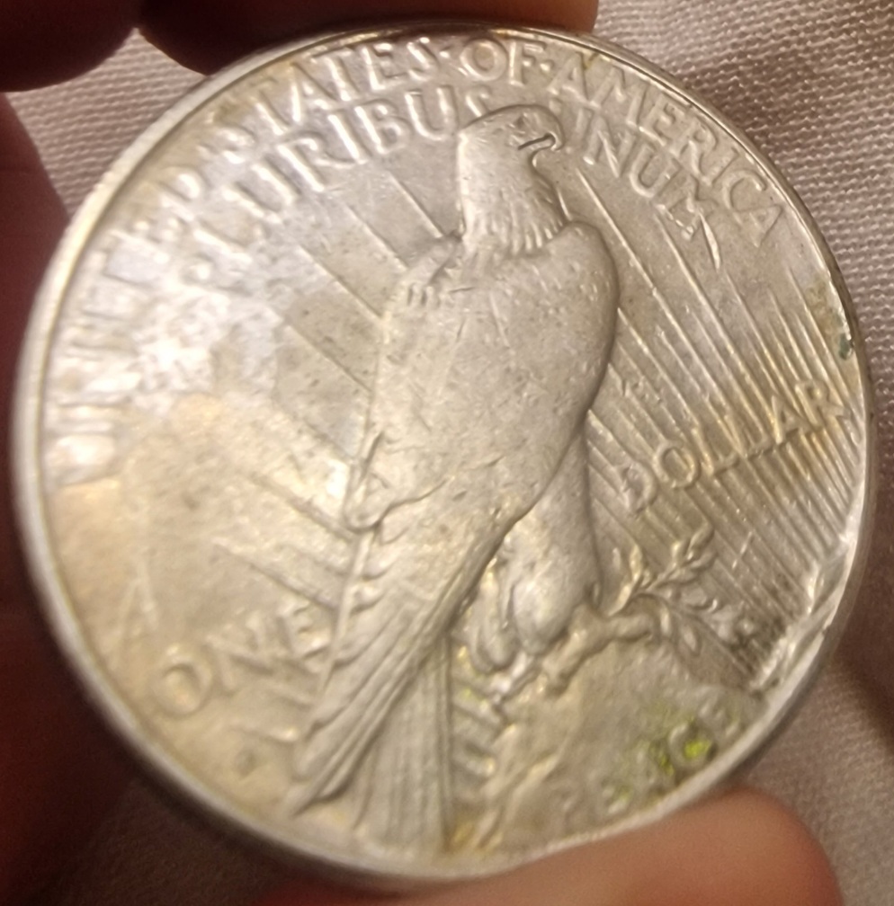 1925-S-Peace-Dollar-For-Your-Grading