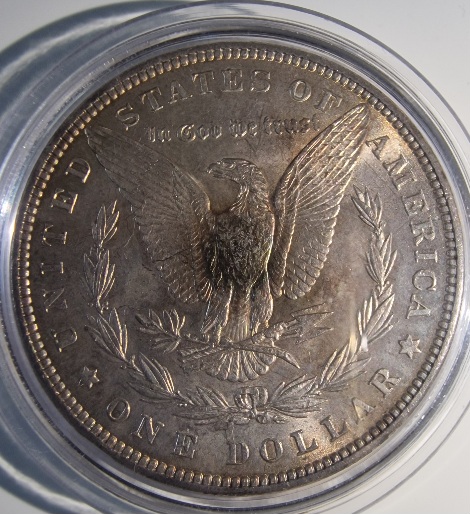 1882-P-Morgan-Ungraded-Toner-For-Grading