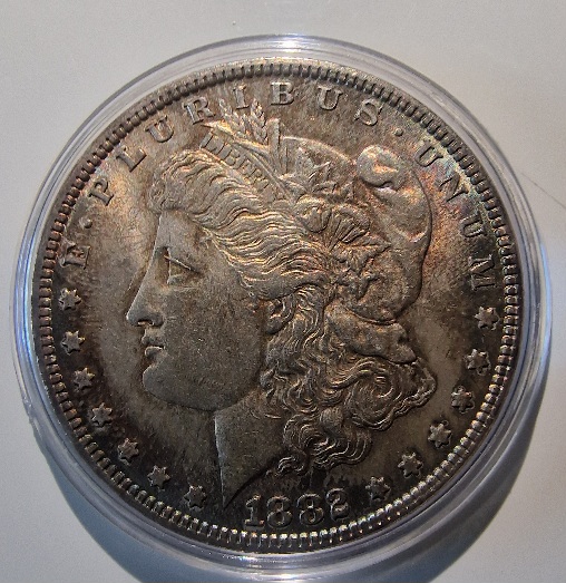 1882-P-Morgan-Ungraded-Toner-For-Grading