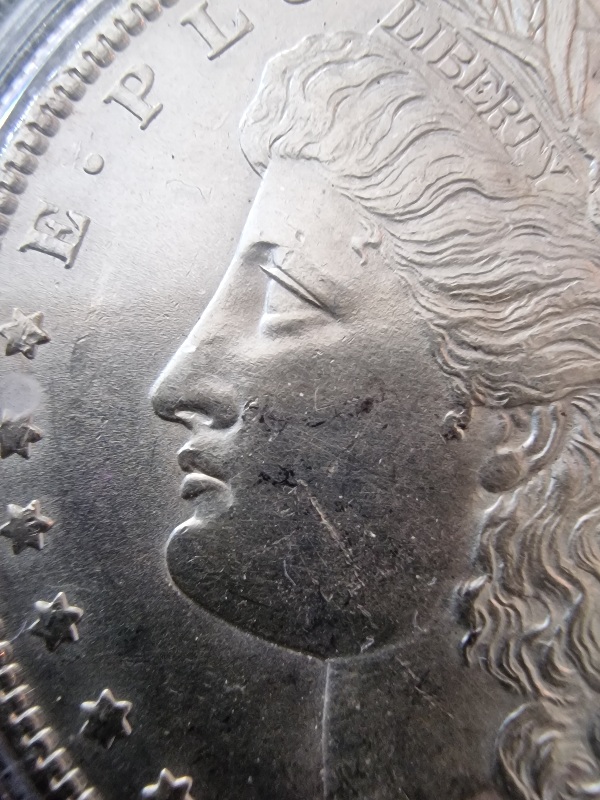 1886-P-Morgan-Cull-Dollar-For-Your-Grading