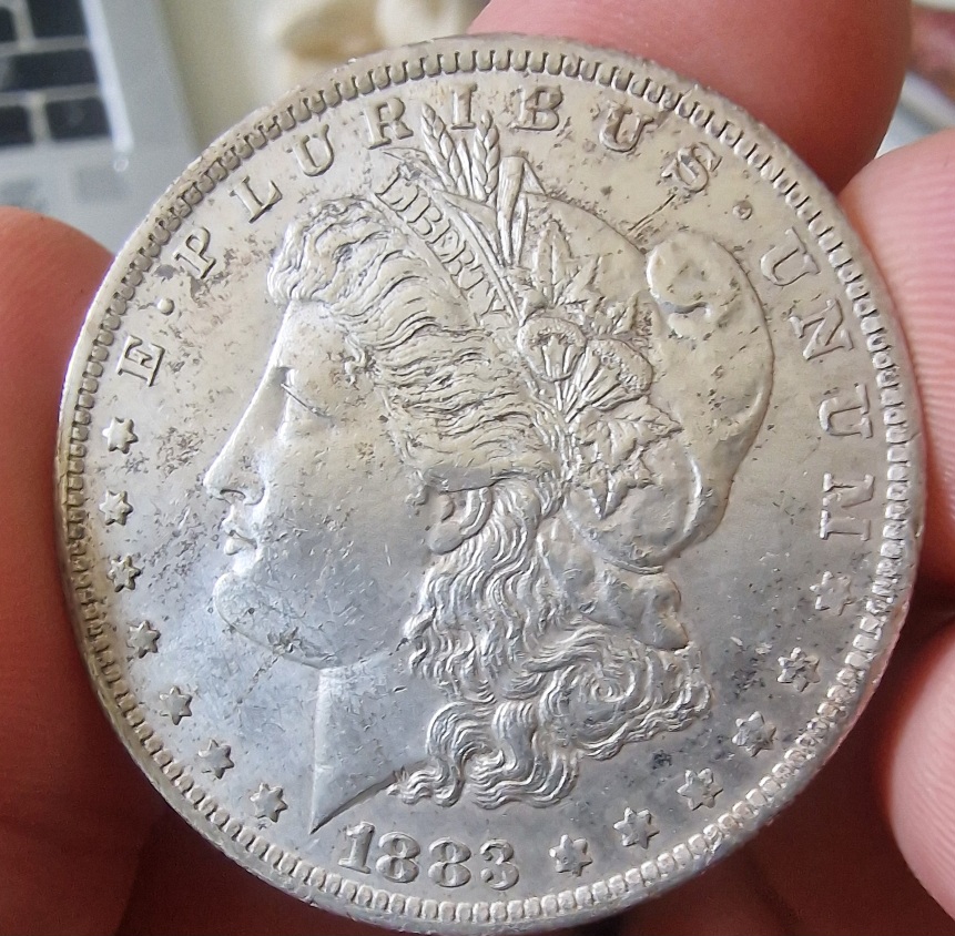 1883-O-Morgan-Dollar-For-Grading