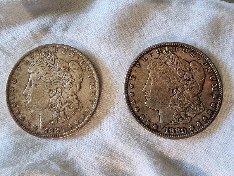 2-New-Morgans-Am-I-Seeing-Ghosts?-One-Looks-Fat.