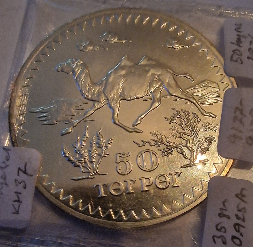Continuing-List-To-Show-Everyones-Latest-Acquisitions