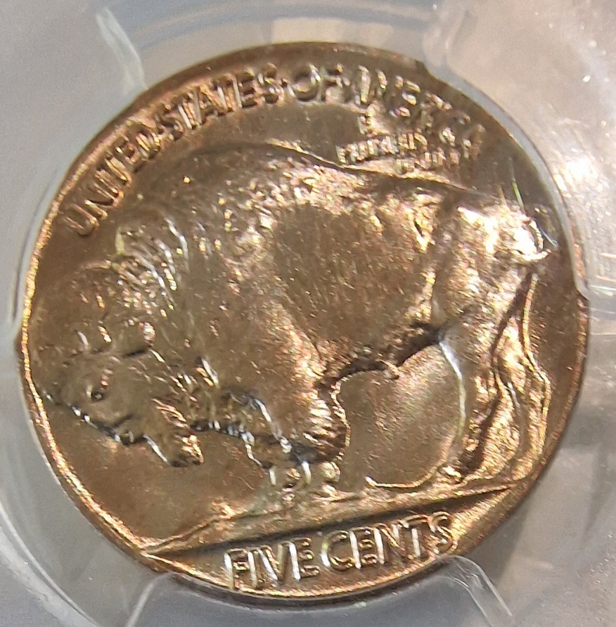Continuing-List-To-Show-Everyones-Latest-Acquisitions