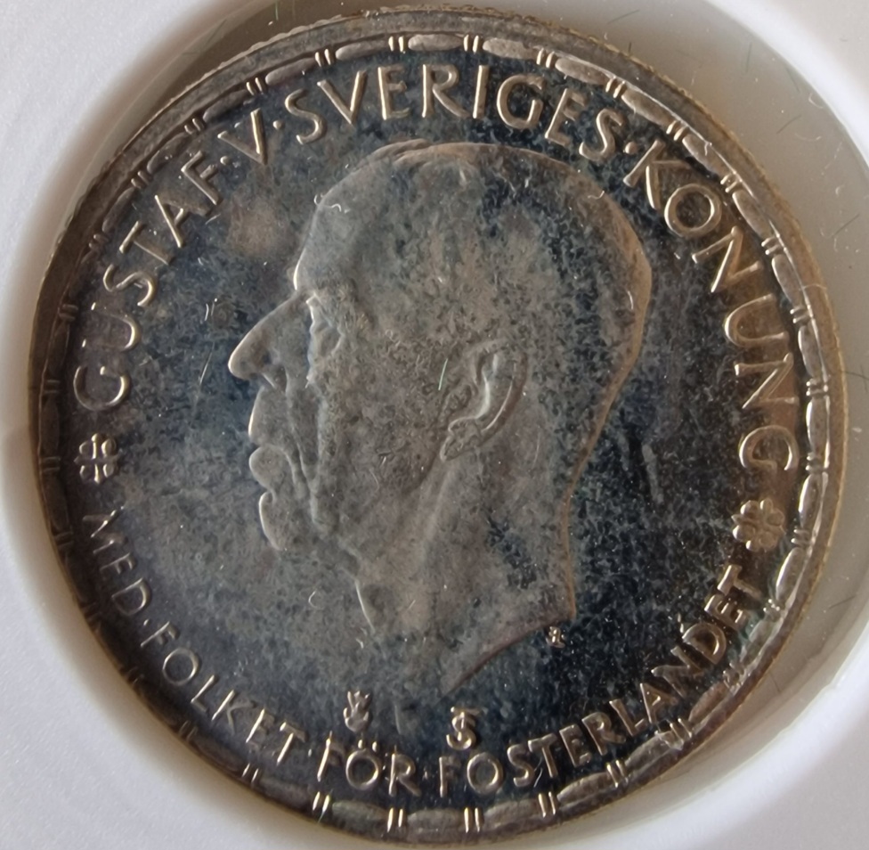 Continuing-List-To-Show-Everyones-Latest-Acquisitions