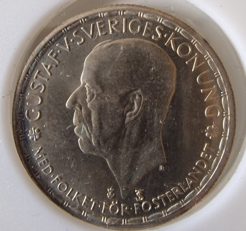 Continuing-List-To-Show-Everyones-Latest-Acquisitions