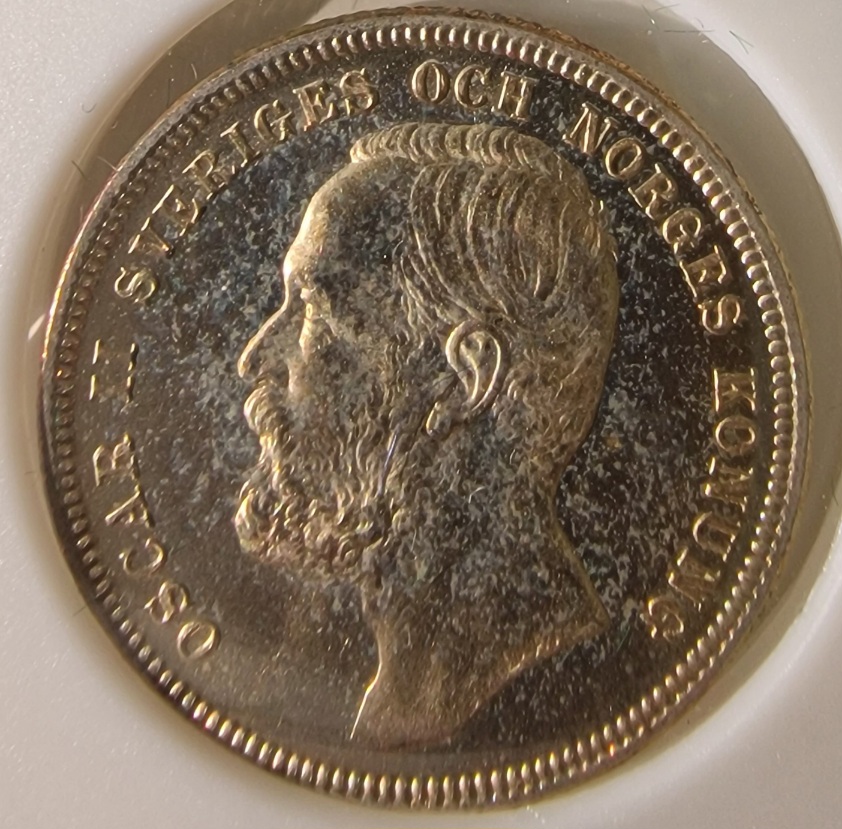 Continuing-List-To-Show-Everyones-Latest-Acquisitions