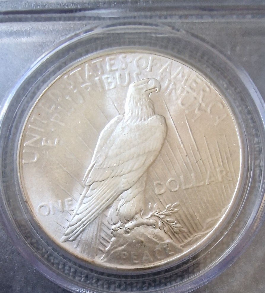 Continuing-List-To-Show-Everyones-Latest-Acquisitions