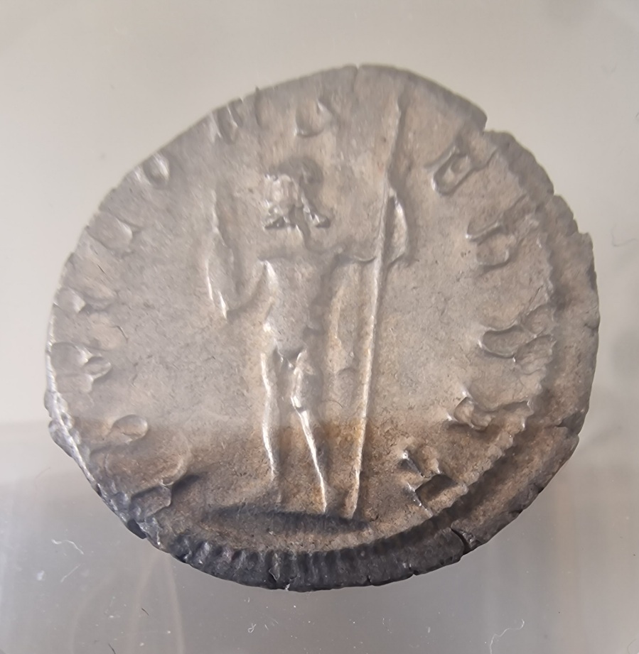 A-Lot-Of-Roman-Coins-Anything-Noteworthy?