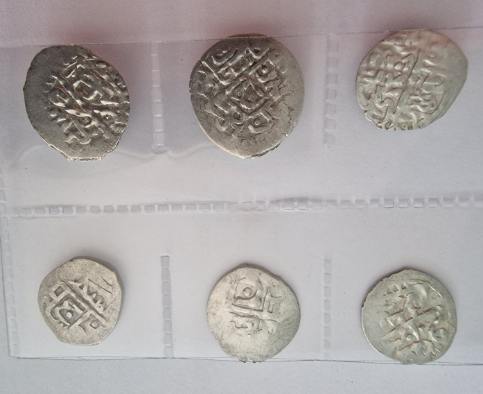 Are-All-This-Golden-Horde-Coins?