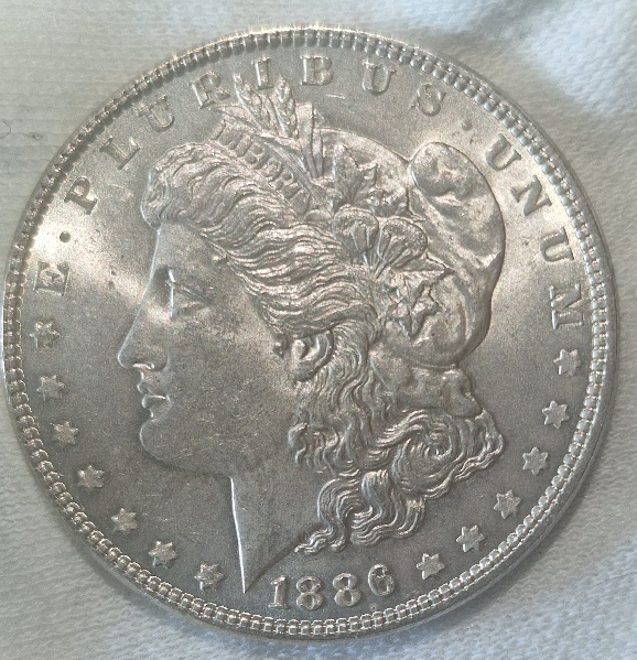 Morgan-1886-P-For-Grading