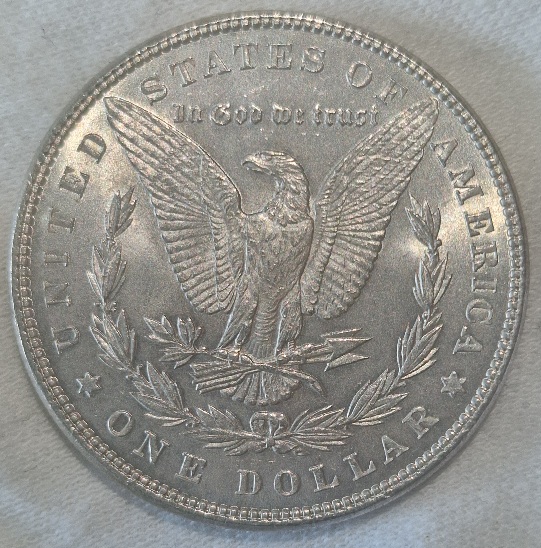 Morgan-1886-P-For-Grading