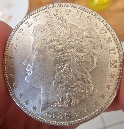 Morgan-1886-P-For-Grading