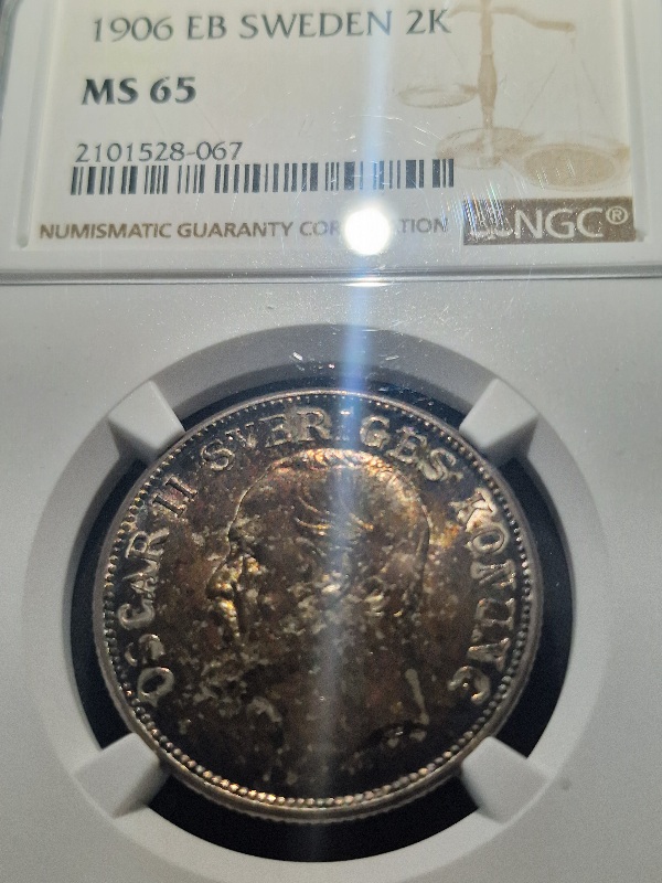 Continuing-List-To-Show-Everyones-Latest-Acquisitions