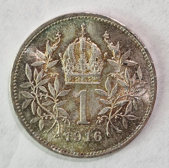 Continuing-List-To-Show-Everyones-Latest-Acquisitions