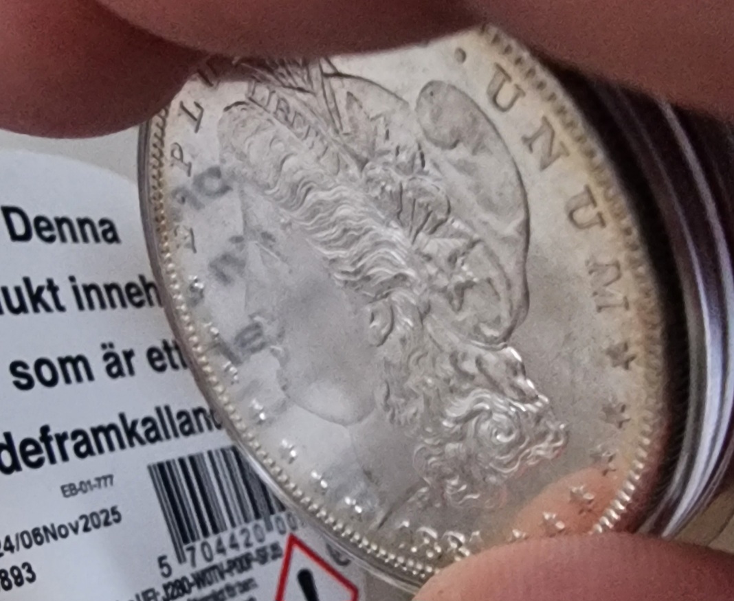 Morgan-Dollar-1881-S-Doubled-Profile?